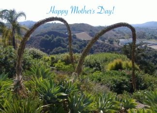 Happy Mother's Day!...