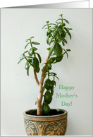 Happy Mother’s Day Jade Plant card