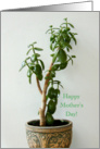 Happy Mother’s Day Jade Plant card