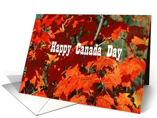 Happy Canada Day Red Maple Tree card (817459)