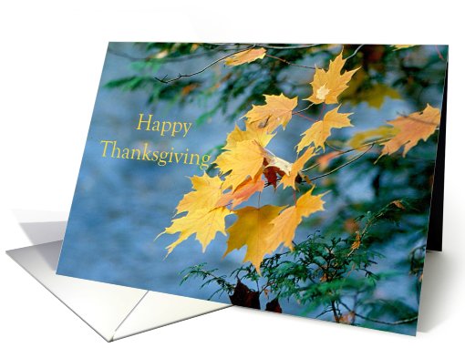 Happy Thanksgiving Maple Leaves Yellow Orange card (831339)