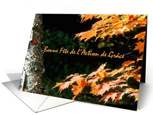 French Canadian Thanksgiving card (832318)
