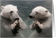 Bear Prayer - funny polar bears, Blank Note Cards