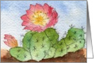 Cactus Flower - Blank Note Card