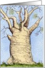 Baobab Tree card