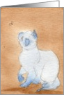 Kitty Blue - Blank Note Card