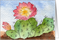 Cactus Flower - Blank Note Card