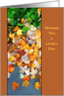 Colorful leaves of Fall - blank inside card