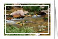 Peaceful creek Thinking of You card