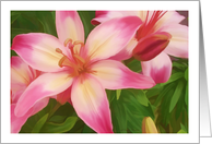 Lilies in Bloom notecard blank inside card