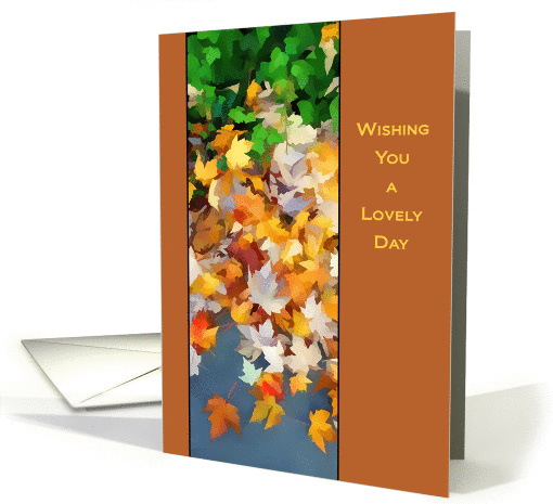 Colorful leaves of Fall - blank inside card (1129408)