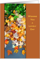 Colorful leaves of Fall - blank inside card