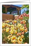 Prickly Pear in Bloom Note Card