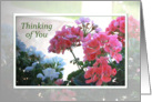 Thinking of You - floral card