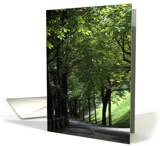 Light Along the Path - blank inside card (794661)