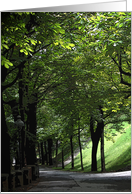 Light Along the Path - blank inside card