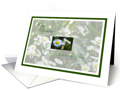 Daisies - Happy Birthday, Niece card (795144)