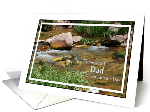For a wonderful Dad on Father's Day card (797923)