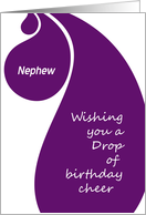 Happy Birthday Nephew - a (wine) drop of birthday cheer card
