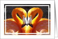 Flamingos - Look for the heart - Blank inside card