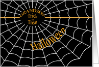 Trick or Treat Halloween spiderweb for Grandson card