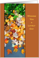 Fall leaves Wishing you a lovely day on Thanksgiving card