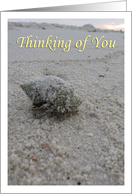 Beach Scene - Thinking of You Card