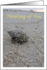 Beach Scene - Thinking of You Card