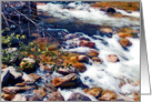 A Yosemite mountain stream speaks of hope in the face of cancer card