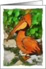 Iron pelican garden ornament blank card