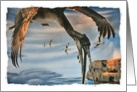 Brown pelican diving for food blank card