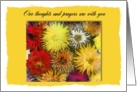 Our thoughts and prayers are with you during the cancer diagnosis card