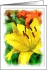 Yellow flower with green foliage and an orange flowered background card