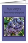 As you undergo a bone marrow transplant, with lilacs card