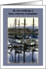As you undergo a bone marrow transplant, with boats card