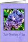 Just thinking of you with lilacs card
