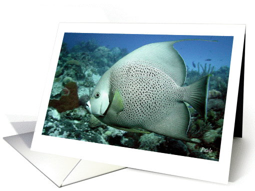 Tropical Caribbean fish-thank you caregiver card (785845)