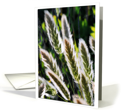Backlit plants signal hope as you battle cancer card (801020)