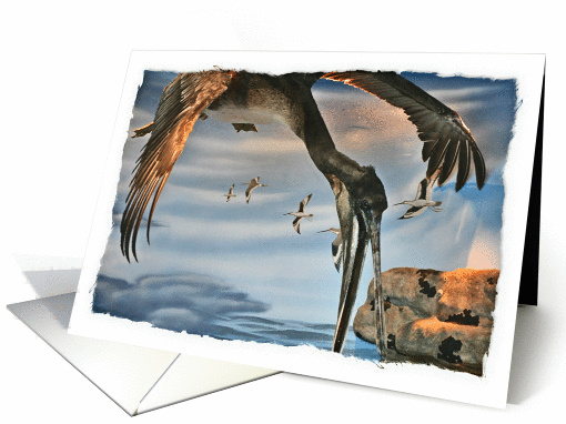 Brown pelican diving for food blank card (919333)