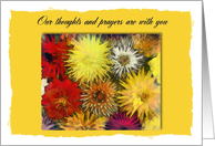 Our thoughts and prayers are with you during the cancer diagnosis card