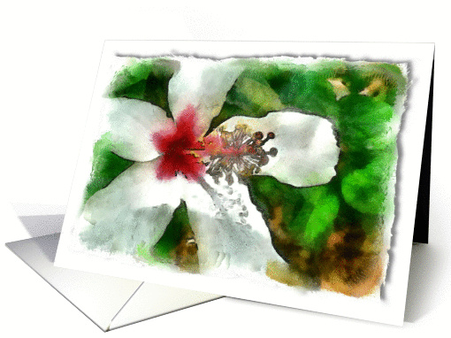 Sending a get well message after your lumpectomy with... (923388)