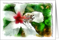 Sending a get well message after your lumpectomy with hibiscus flower card