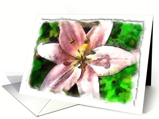 Pink flower against green background card (923915)