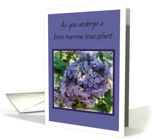 As you undergo a bone marrow transplant, with lilacs card (935668)
