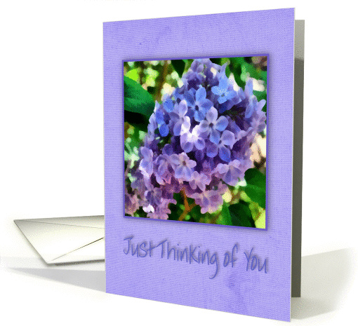 Just thinking of you with lilacs card (944075)