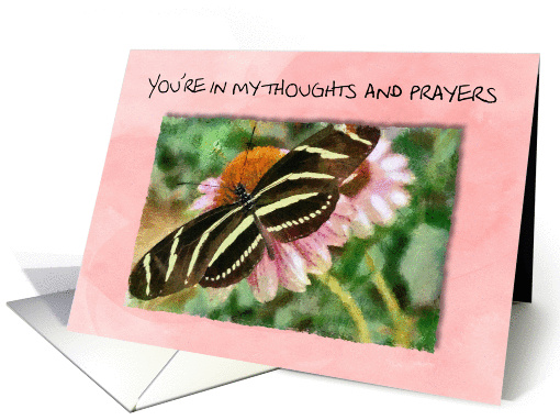 You're in my thoughts and prayers, with zebra butterfly card (964617)