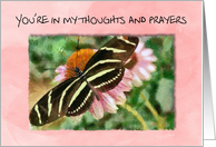 You’re in my thoughts and prayers, with zebra butterfly card