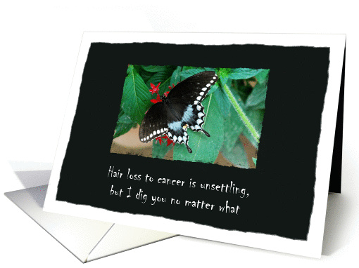 Hair loss from chemotherapy, with butterfly card (965403)