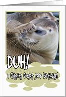 Seal Duh Forgot Birthday card