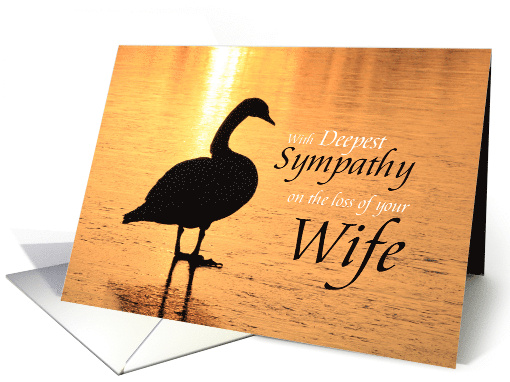 Swan Silhouette Sympathy For Loss Of Wife card (1766046)